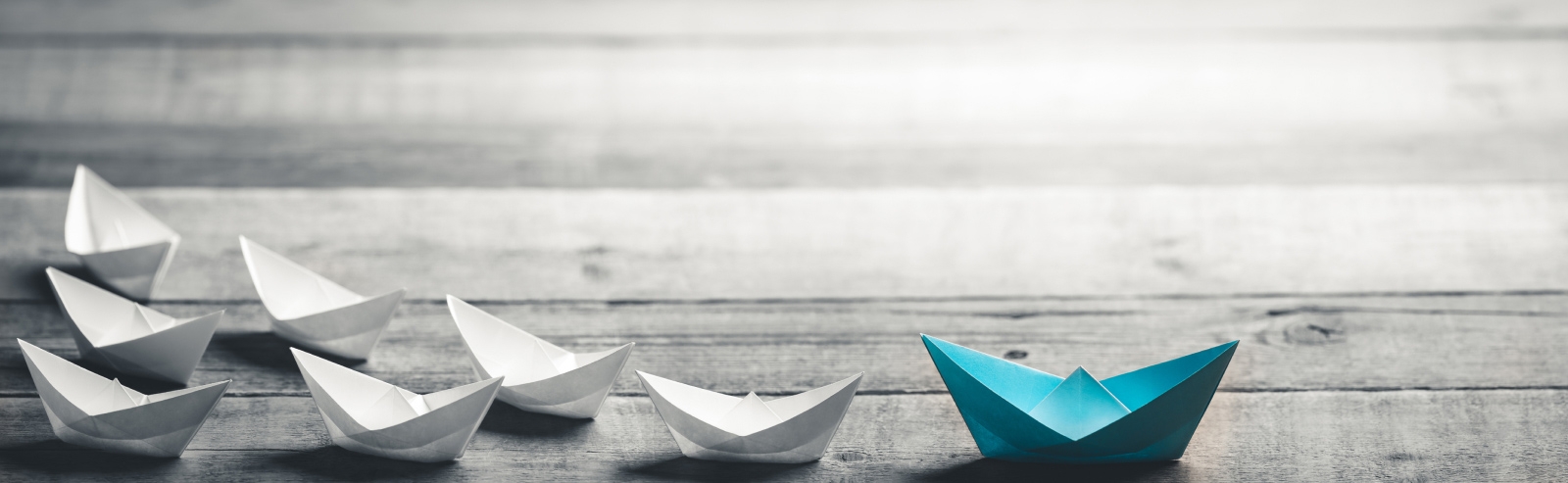 Styrelse och ledning